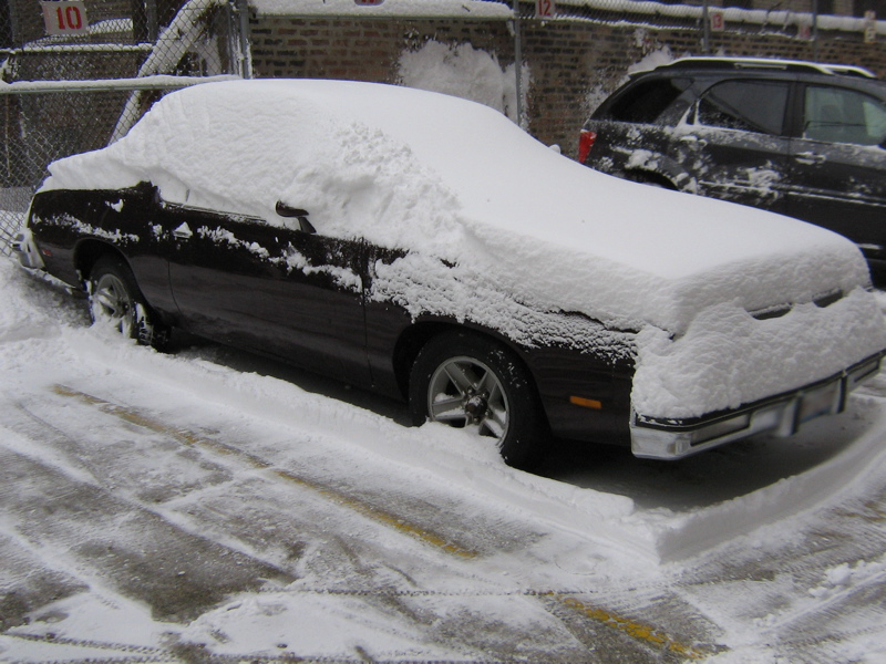 Illustration for article titled Winter Guessing Game: Gee, It's Snowy Out Edition